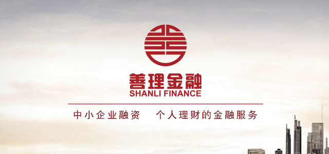上海善理金融信息服务有限公司